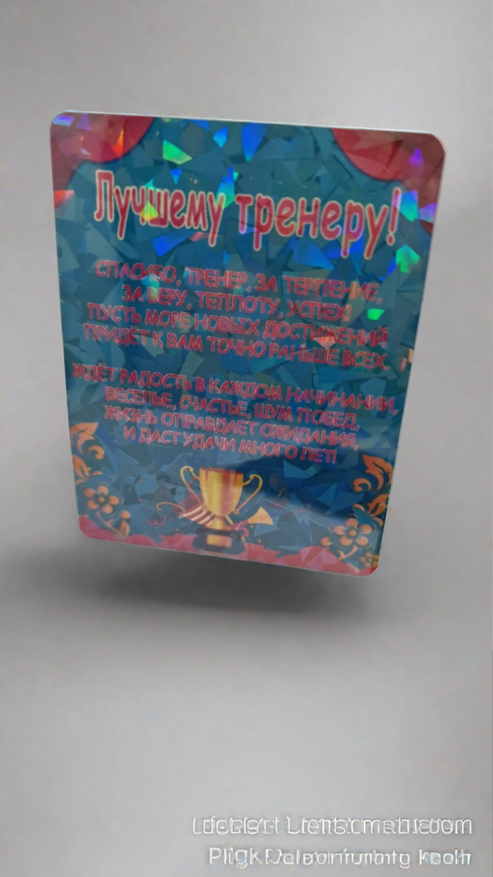 Специальное предложение/Eripakkumine