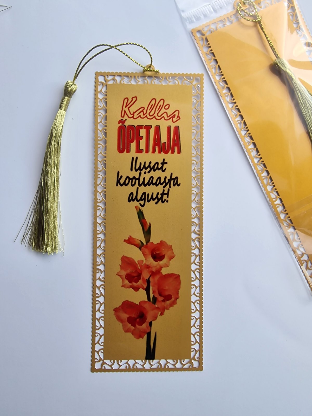 Закладка для книг