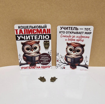 Кошельковый талисман учителю в виде совы