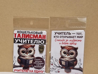 Кошельковый талисман учителю в виде совы
